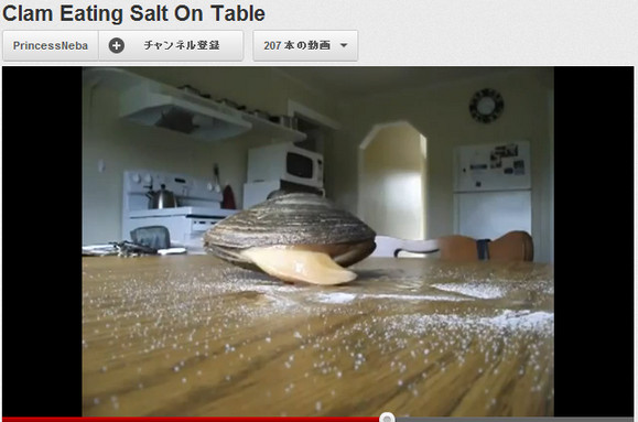 この動きは完全に予想外！ 動画「塩をなめる貝」がスゴイと話題に