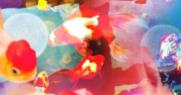 話題沸騰中 どんな写真も蜷川実花さん風にできちゃうiphoneアプリ Cameran を使ってみた マジで蜷川ワールドになってスゲエ Pouch ポーチ