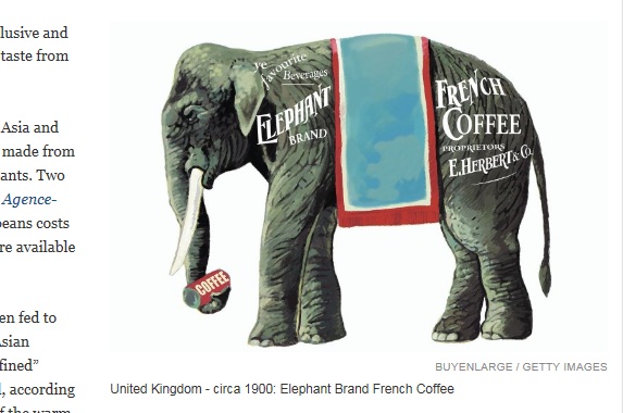 象のうんちから採ったコーヒーがあるらしい！　バンコクの、とあるリゾートホテルで1杯約2000円で発売中!!