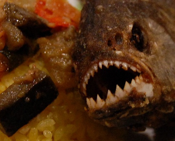 【奈良グルメ】奈良健康ランドでピラニアの唐揚げを食べてみた／こっちが食べられそうな目つきの悪さとスゴイ魚臭に涙目