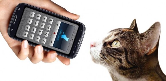 これさえあればニャンコと意思疎通できちゃう!? 人間の言葉を猫語に翻訳してくれるアプリ『Human-to-Cat Translator』