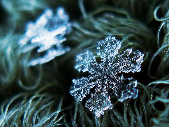 感動必至 これはまさに自然が生んだ芸術作品 超接写で撮影したはかなくも美しい 雪の結晶 たち Pouch ポーチ