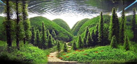 息を飲むほど美しい幻想の森！ それは「水草水槽」の世界にありました