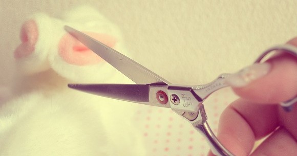 彼氏にしてはいけない3b 美容師の彼女になる方法を美容師に聞いてみた Pouch ポーチ