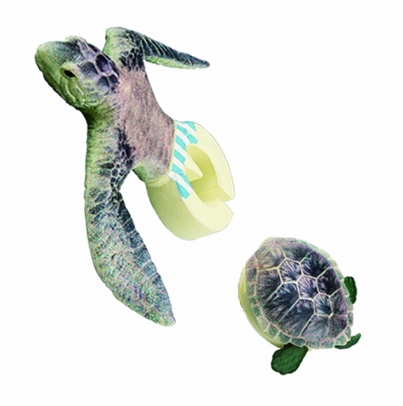 ま、まさか亀が亀をやめるなんて…ガシャポン「あいつ、亀やめるってよ