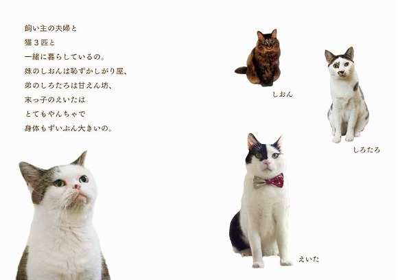 人気ブログ「まこという名の不思議顔の猫」の “まこ” がフォトブックに