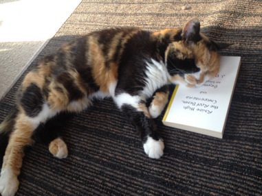 ツイッター「#猫が読んでそうなハウツー本」がどれもかわいすぎな件 / 「餌をくれる人とそうでない人はここが違う！」など