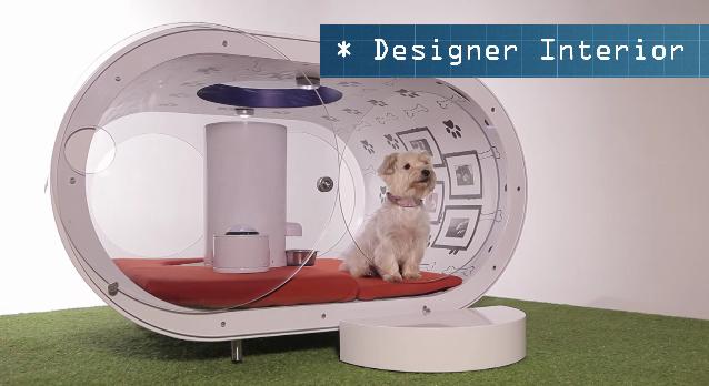 サムスン・ドリーム・ドッグハウス にまつわる記事  Pouch［ポーチ］