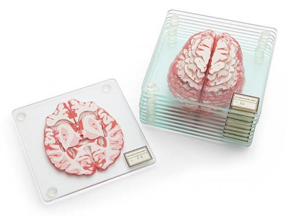 ひえぇ…脳の断面図コースター！ 10枚重ねるとリアルな脳になっちゃう 