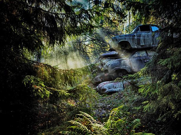 朽ち果てた姿もまた美しい…神秘的な「森×廃車」写真が素敵です