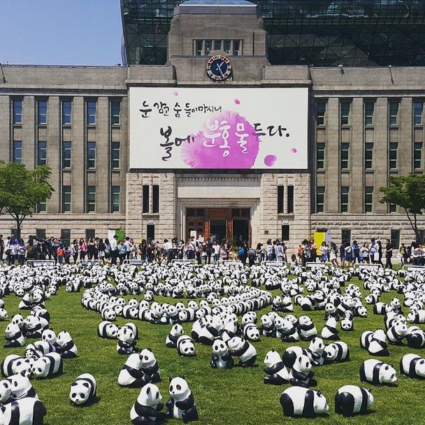 【絶滅危惧！】1600匹のパンダが会場を埋めつくす!? 野生パンダの保護をアピールするパブリックアートがただいま世界各国を巡回中