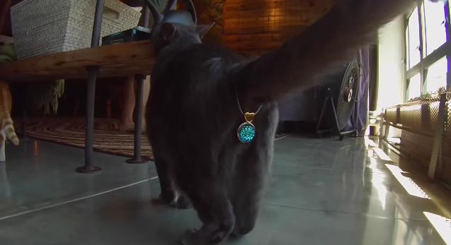 何のために 猫のコーモンを隠すキラキラ アクセサリーが微妙に話題 Pouch ポーチ 何のために 猫のコーモンを隠すキラキラ アクセサリーが微妙に話題 Pouch ポーチ