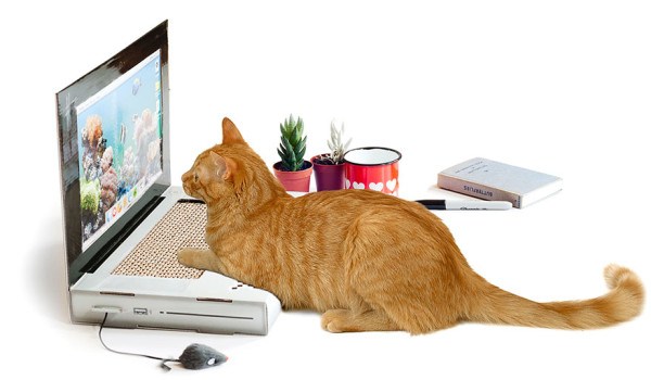 もう邪魔はさせないゾ！ パソコンの上に乗りたがるネコ対策ツメ研ぎ「Cat Scratch Laptop」に期待が高まりまくりっ!!!