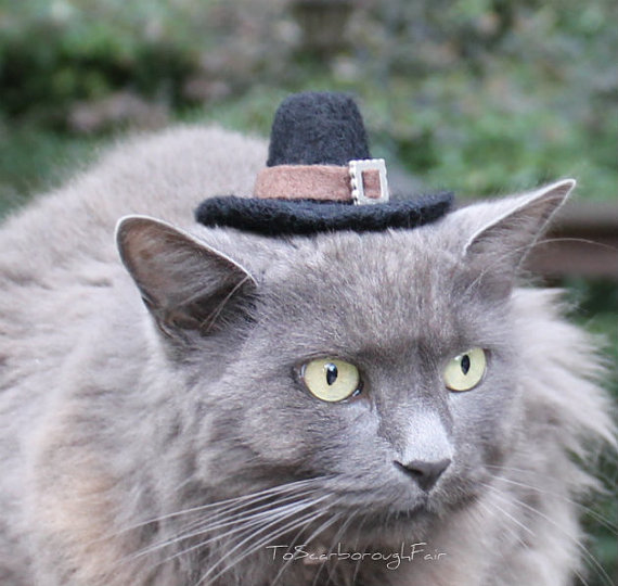 【ちょこん】猫のアタマにぜひとも載せたい「ニャンコ用変身帽子」5選 / かぶるだけで可愛さ100倍に!!