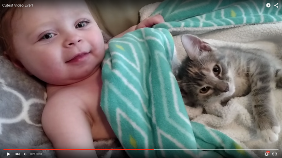 癒されすぎ注意 40秒でこの癒し力 赤ちゃんと子ネコのあまりに可愛すぎるお昼寝風景 Pouch ポーチ