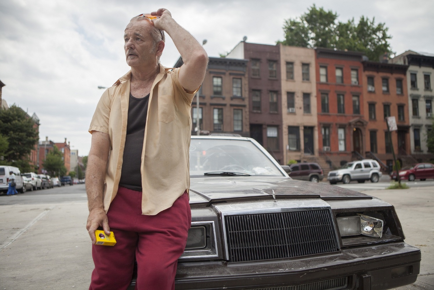 BILL MURRAY stars in ST. VINCENT
