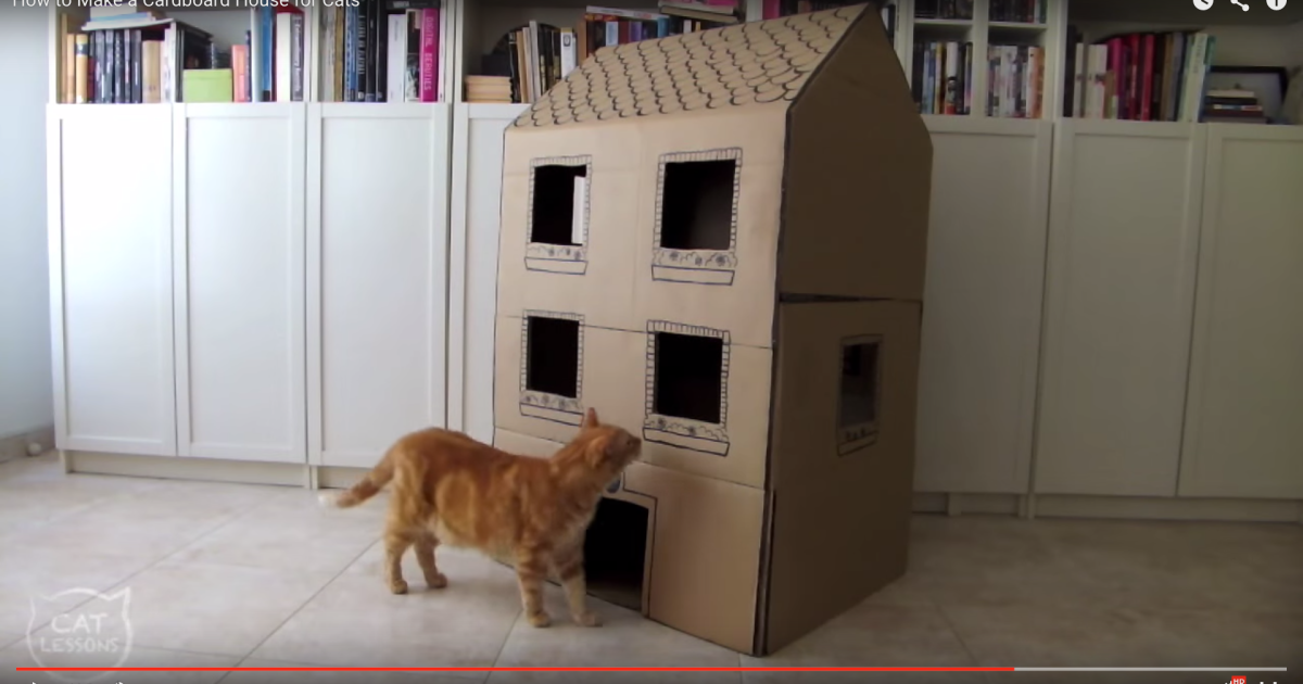 にゃんこの為のDIY】猫が大好きなダンボールで作る「2階建て猫ハウス