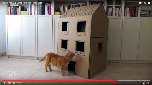 【にゃんこの為のDIY】猫が大好きなダンボールで作る「2階建て猫ハウス」動画 /「ダンボールがほしくなる」「ナイスアイデア！」