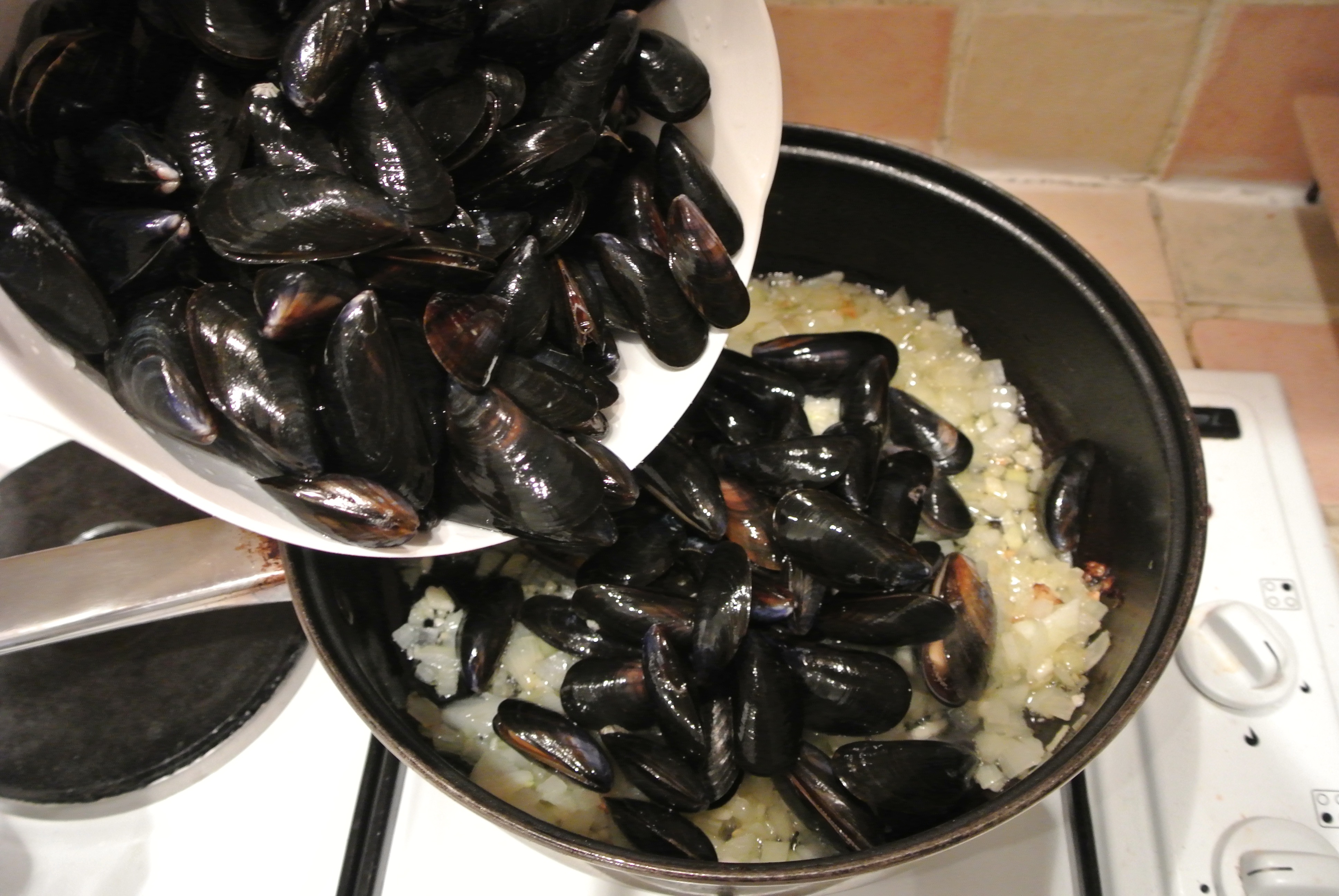 mussels4