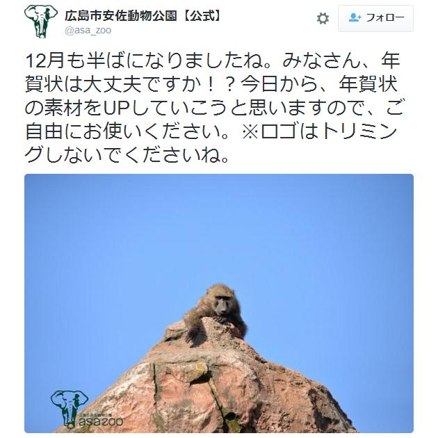 申年の年賀状は マンドリル で決まりでしょ 広島の動物園が サル画像 年賀状素材を提供してくれているぞ Pouch ポーチ