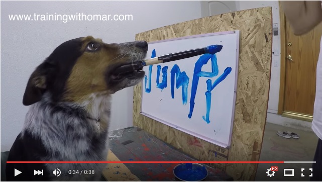 世界でいちばん賢い犬 自分の名前を筆でキャンバスに書いちゃうワンコがyoutubeで話題沸騰中 Pouch ポーチ