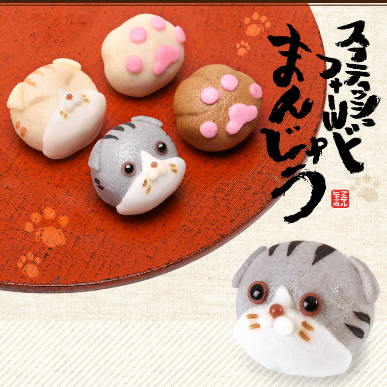 折れ耳とつぶらな瞳にキュンキュン♪ 大人気の「スコティッシュ