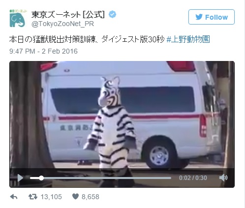 【大真面目】今年はシマウマが脱出したぞッ…!! 上野動物園の「猛獣脱出対策訓練」の様子がかなりシュール！