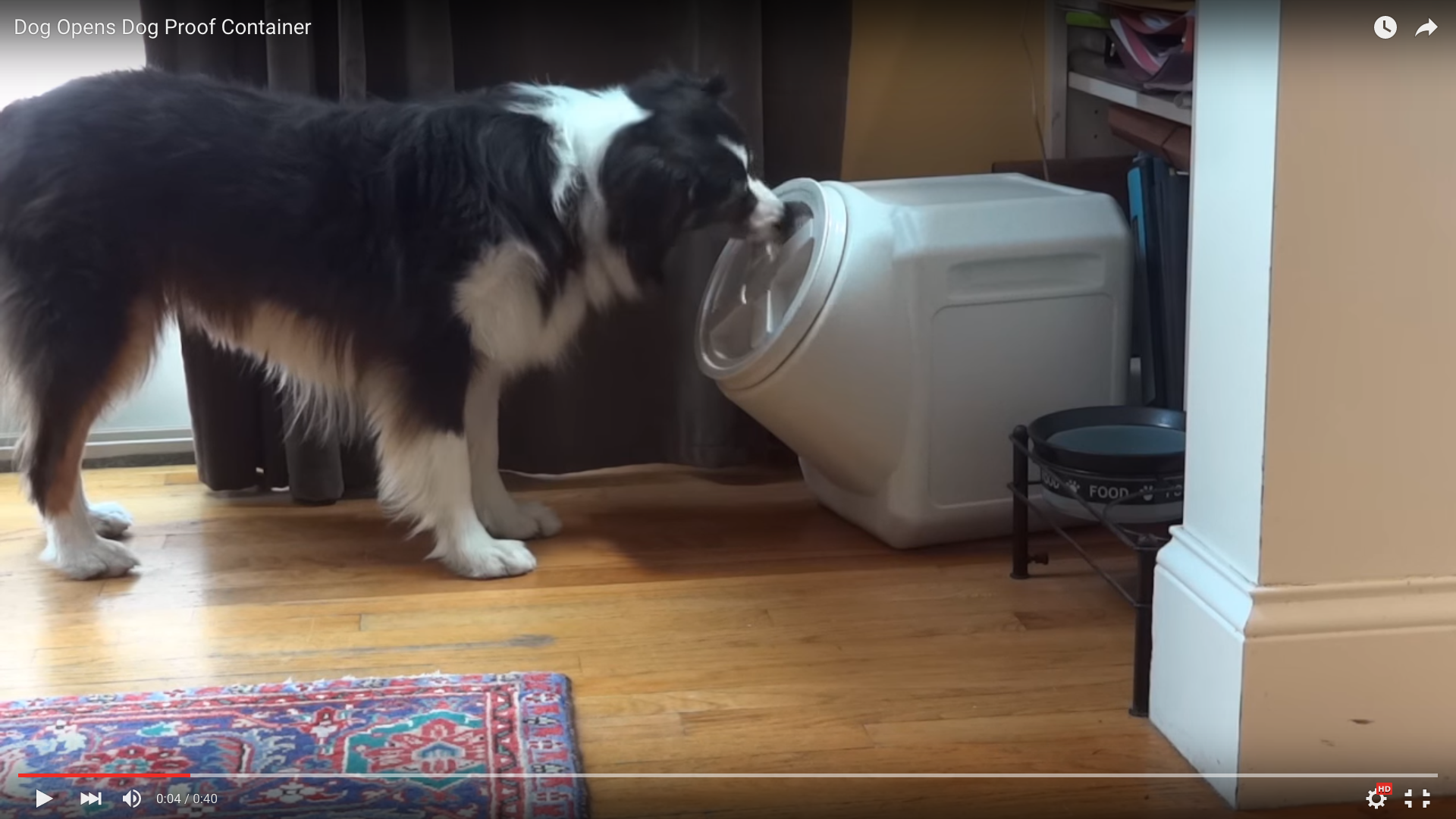 文字通り朝飯前！「ドッグプルーフ」コンテナをいとも簡単に開けちゃったワンコにブラボー!! ネットの声「きちんとフタを置いてくるところが好き