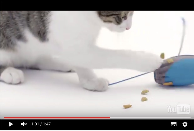ネズミ型の 猫の自動エサやり機 が便利そう ネコちゃんの捕食本能を満たしてくれる画期的な発明品であります Pouch ポーチ