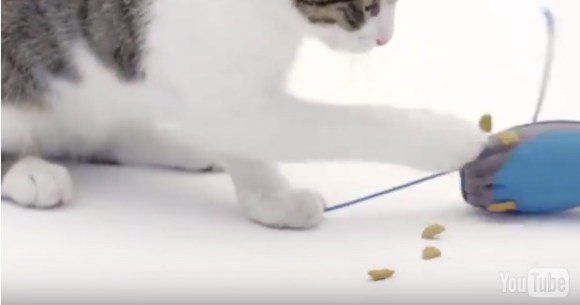 ネズミ型の 猫の自動エサやり機 が便利そう ネコちゃんの捕食本能を満たしてくれる画期的な発明品であります Pouch ポーチ