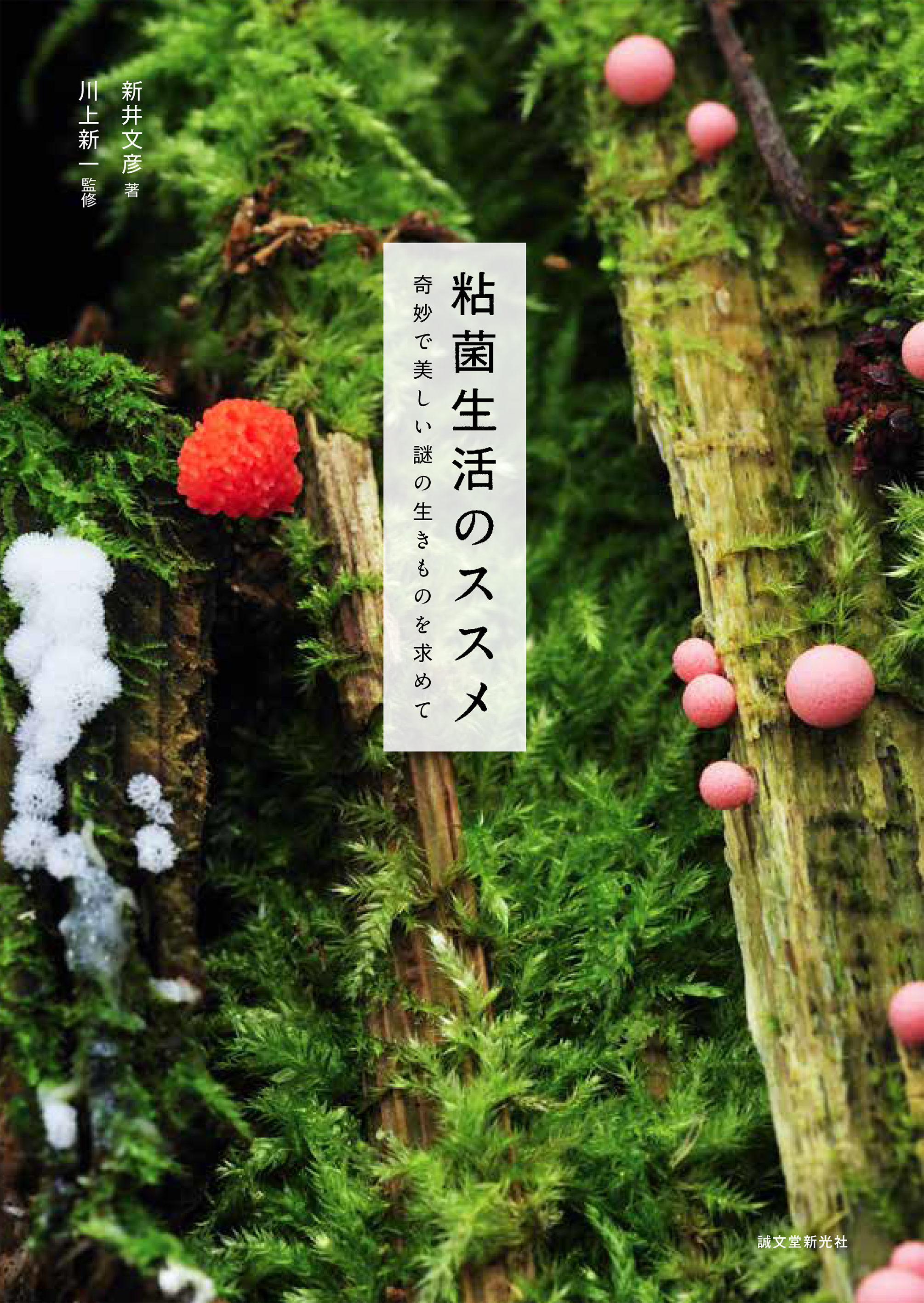 めくるめく粘菌ワールドへようこそ 不思議でカワイイ魅力をめいっぱい紹介した本 粘菌生活のススメ が発売 Pouch ポーチ