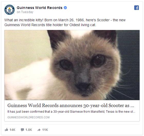 【ギネス認定】世界一の長寿ネコはなんと御歳30歳！ ちなみに過去最高記録は38歳と3日なんだって