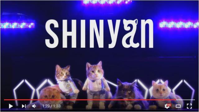 「猫ホイホイMV­」ってどゆこと!? 韓国アイドルSHINeeの “猫” バージョン「SHINyan（シャイニャン）」のデビュー曲MVをご覧ください