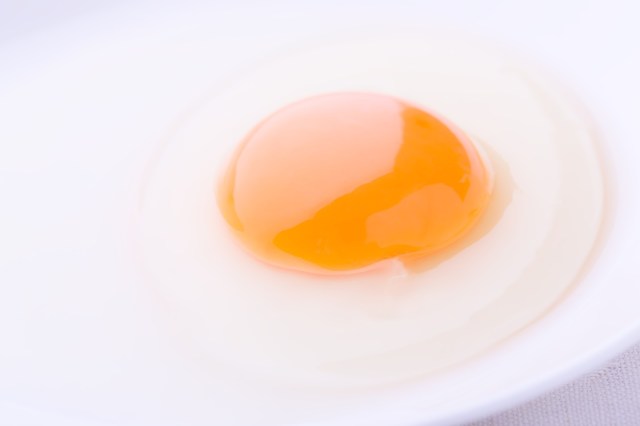 日本の高校生が「殻無しの卵からヒナを誕生」させた！ 千葉県の高校生物部の研究が世界で話題に
