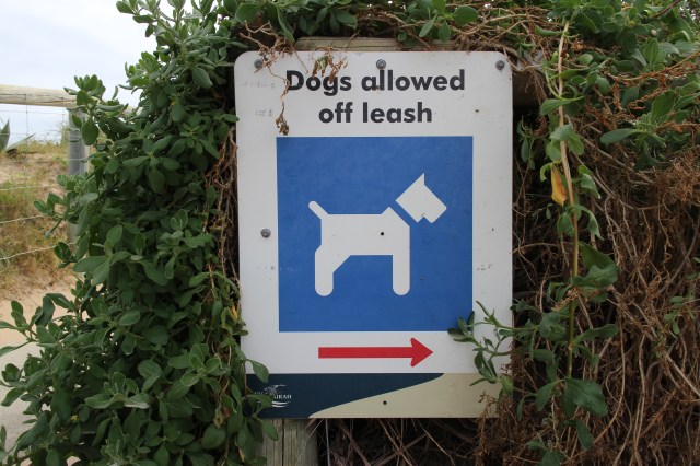 【オーストラリア】わんこと飼い主がとっても快適にお散歩できる！ 日本でもマネしてほしい犬用の無料サービスとは