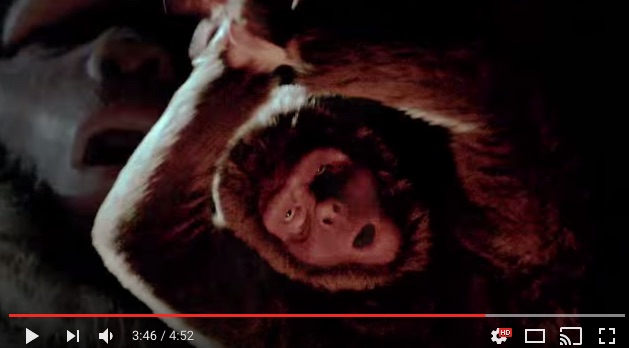 ジワる Radwimpsの新曲 前前前世 Mvに登場する猿の存在感が強すぎ 猿になってもみんな面影あるのがまたおもしろい との声も Pouch ポーチ
