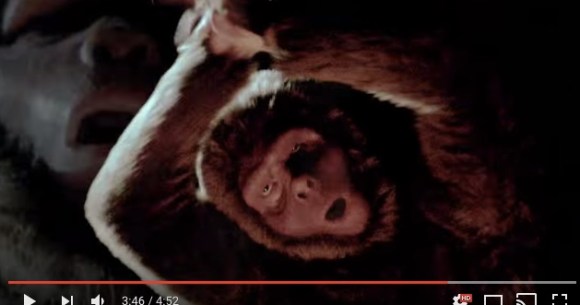 ジワる Radwimpsの新曲 前前前世 Mvに登場する猿の存在感が強すぎ 猿になってもみんな面影あるのがまたおもしろい との声も Pouch ポーチ
