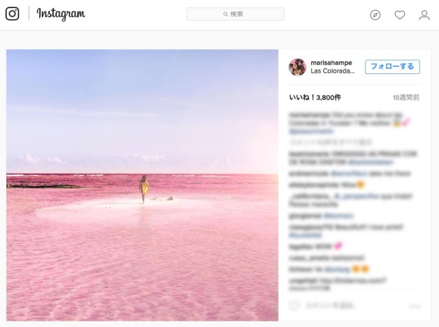 メキシコ・ユカタン半島の「ピンク色に輝く湖」が絶景です / 1度でいいから行ってみたい！