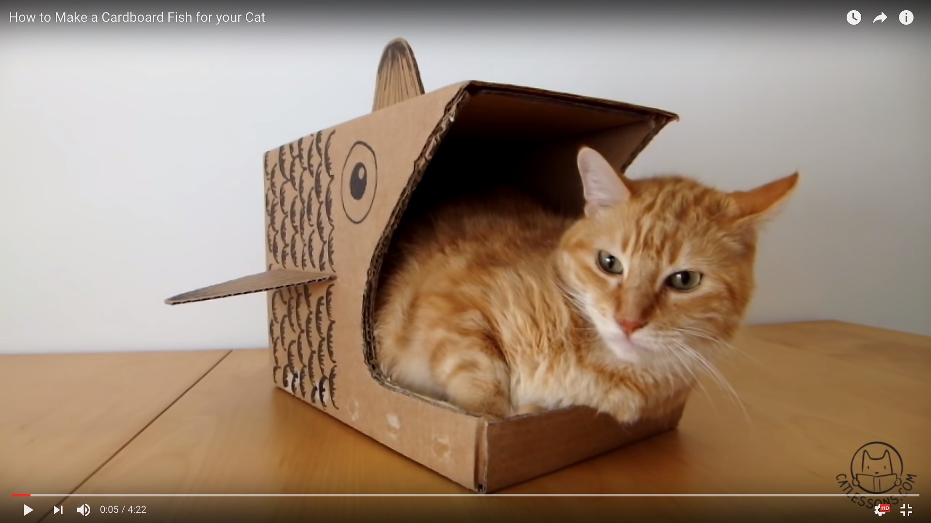 【猫のためのDIY】ダンボール2個で完成する「お猫さま専用おさかなハウス」が極上の可愛さ♪ | Pouch[ポーチ]
