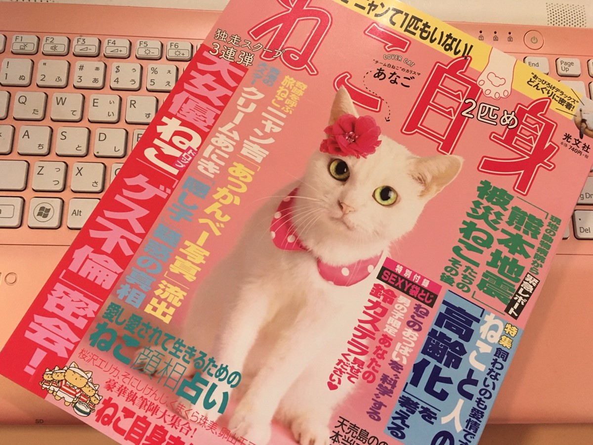 ねこ 自身 コレクション 雑誌