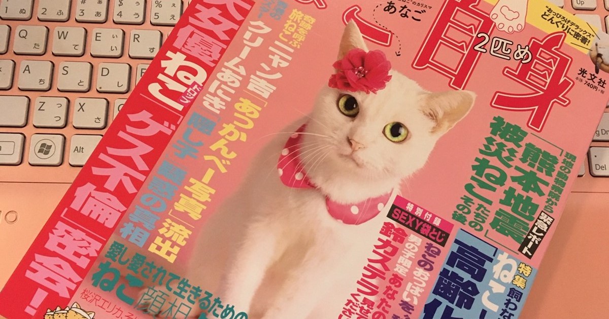 まさかすぎ ネコ雑誌 ねこ自身 の袋とじがたまらんセクシーさ ニャンコ好きが夢中になる事態 Pouch ポーチ