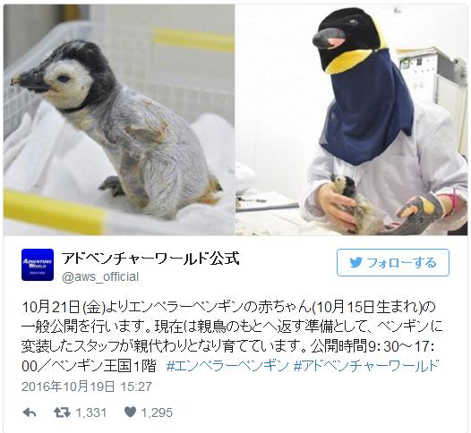 マジかよ ペンギンの赤ちゃんを育てているのはペンギン人間 ヒトを 親 だ と 認 識 さ せ な いための変装なんだよ Pouch ポーチ