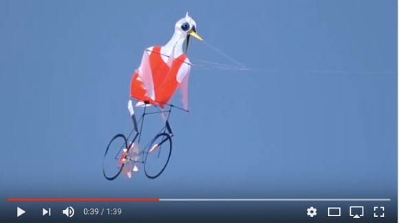 自転車をこいで空を飛ぶ鳥人間 シュールでキモかわいい すさまじいインパクトを放つ正体はタコ Pouch ポーチ