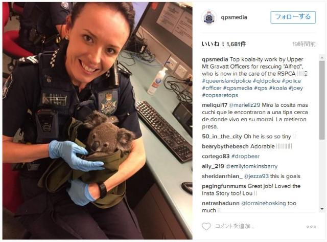 職務質問した女性のバッグを開けたら「コアラの赤ちゃん」が！  警察官もびっくりの事件がオーストラリアで発生