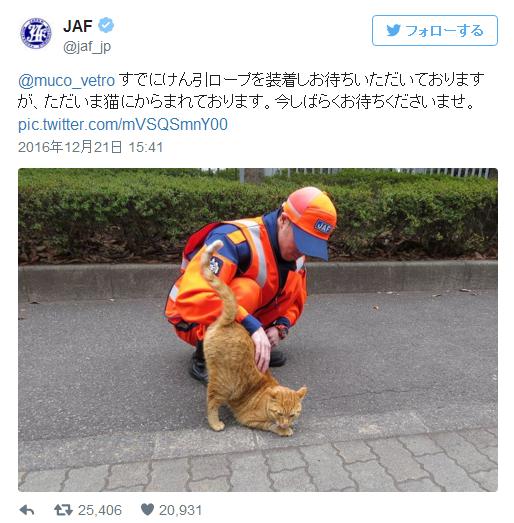 華麗なるギャグ返し 雪にハマって動けない柴犬がjafに救助求めた結果 ただいま猫にからまれております Pouch ポーチ