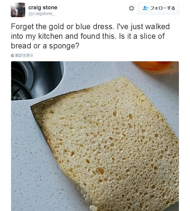 【何に見える？】これはパンか、それともスポンジか…正解が気になる不思議な写真が投稿される