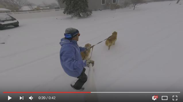 犬ぞりならぬ「犬スノボ」!? 雪道をグングン突っ走るワンコたちが引っ張っていたのはスノーボードに乗った飼い主さん！