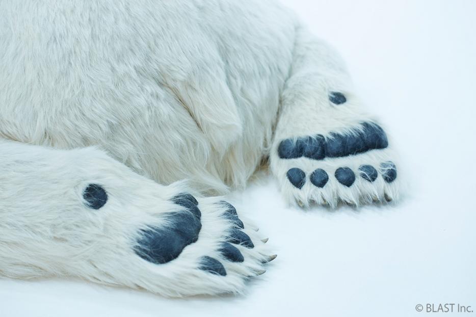 シロクマ親子を家で飼える!? 3カ月かけて毛並みや肉球などリアルを追求した動物美術シリーズが発売 / 気になるお値段は？ | Pouch［ポーチ］