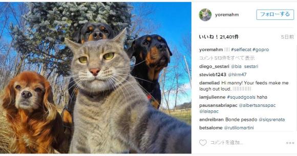 上手にセルフィーできる猫 マニーくんの写真がリア充すぎる 人間顔負けの構図で仲間と一緒に ハイチーズ Pouch ポーチ