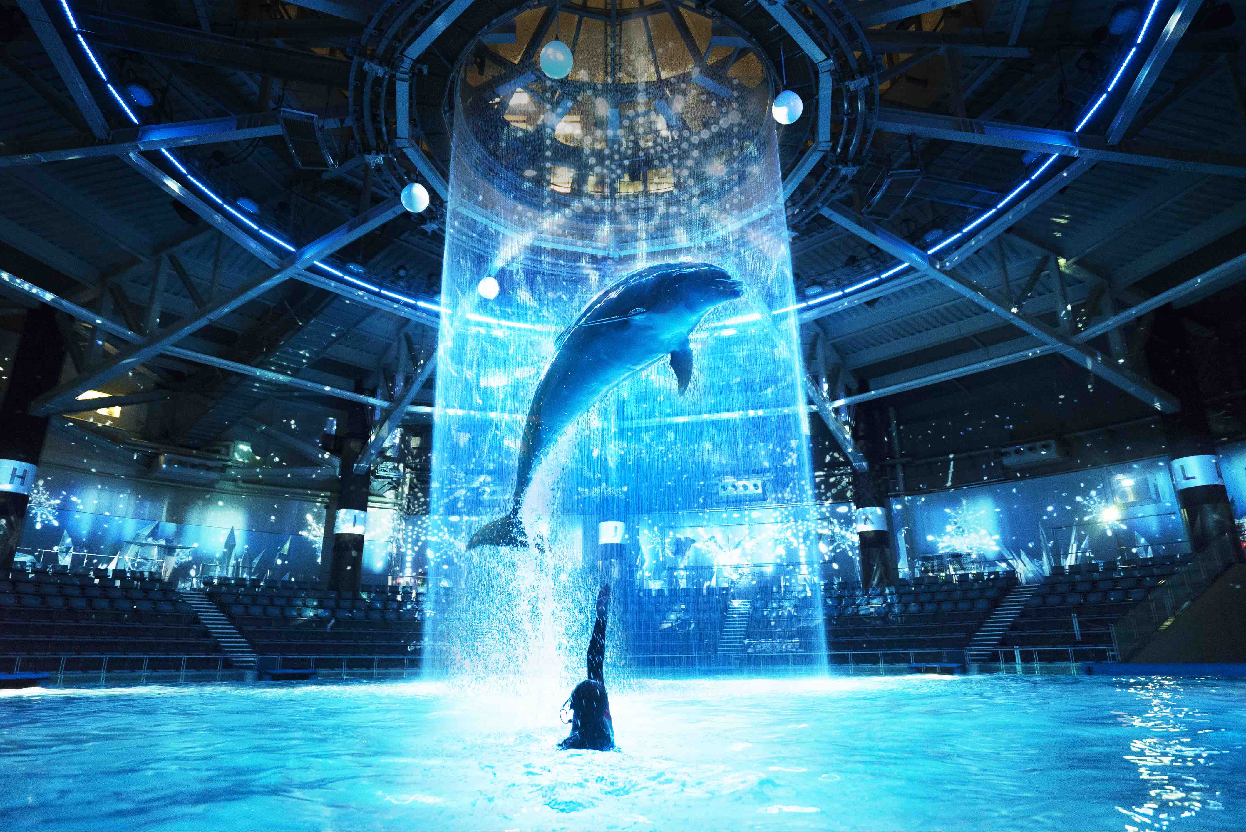 イルカモチーフのクリスタルボール置物｜海のきらめきを閉じ込めた幻想